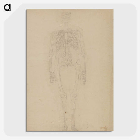 2-77_George-Stubbs_picture-crop