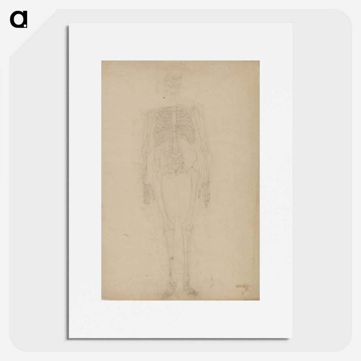 2-77_George-Stubbs_picture