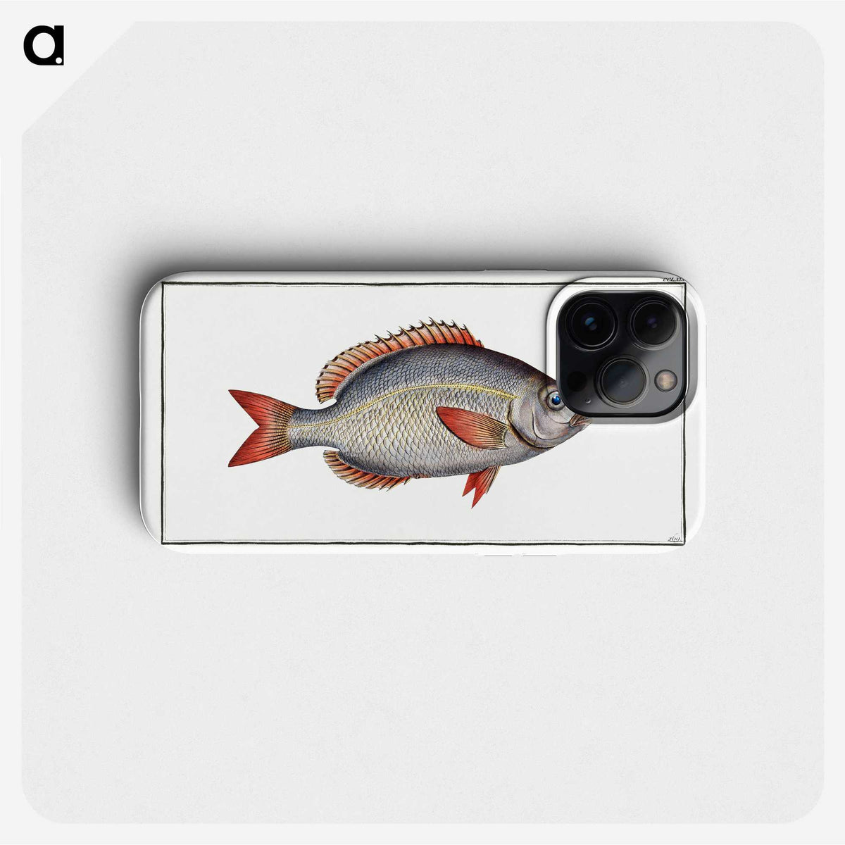2-77_Ichtyologie-ou-Histoire-naturelle_phone
