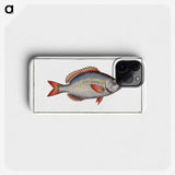 2-77_Ichtyologie-ou-Histoire-naturelle_phone