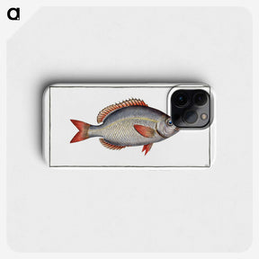 2-77_Ichtyologie-ou-Histoire-naturelle_phone