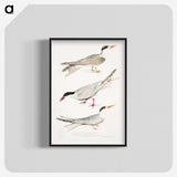 2-77_Indian-Zoology_blk-crop