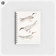 2-77_Indian-Zoology_memo