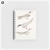 2-77_Indian-Zoology_memo