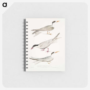 2-77_Indian-Zoology_memo