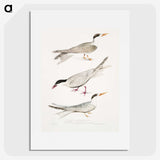 2-77_Indian-Zoology_picture