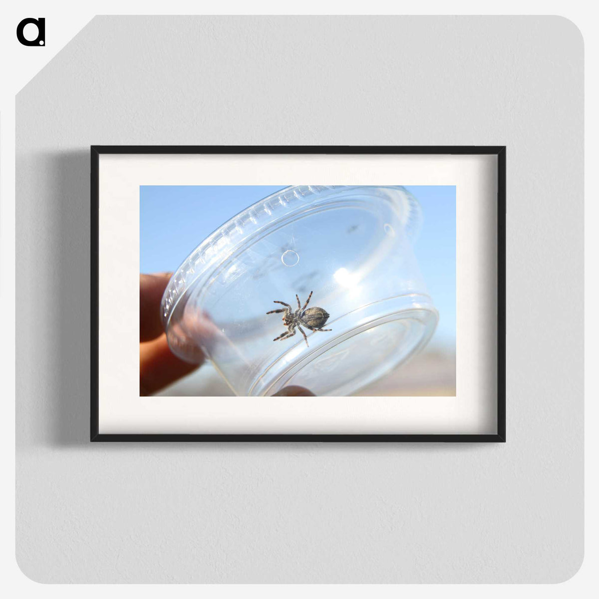 2-77_Insects-Unlocked-Project_blk