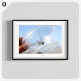 2-77_Insects-Unlocked-Project_blk