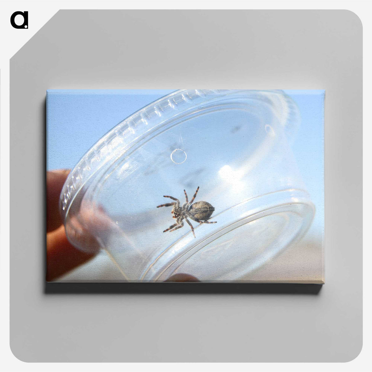 2-77_Insects-Unlocked-Project_canvas