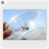 2-77_Insects-Unlocked-Project_picture-crop