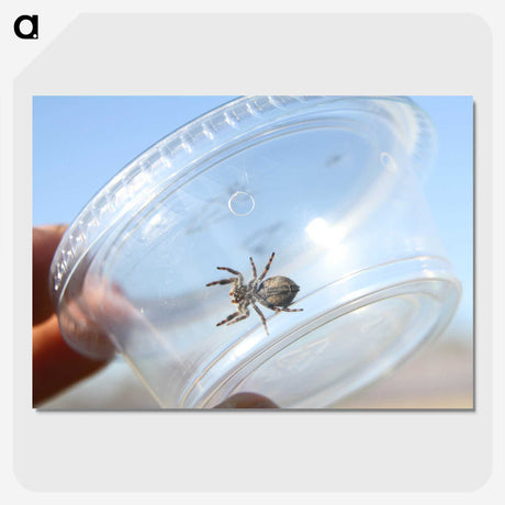 2-77_Insects-Unlocked-Project_picture-crop