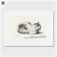2-77_Jean-Bernard_picture