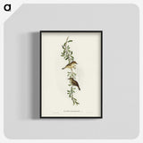 2-77_John-Gould_blk-crop