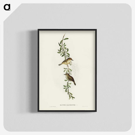 2-77_John-Gould_blk-crop