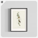 2-77_John-Gould_blk