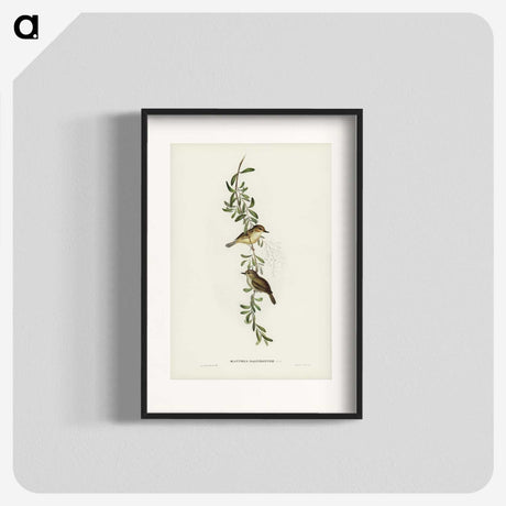 2-77_John-Gould_blk