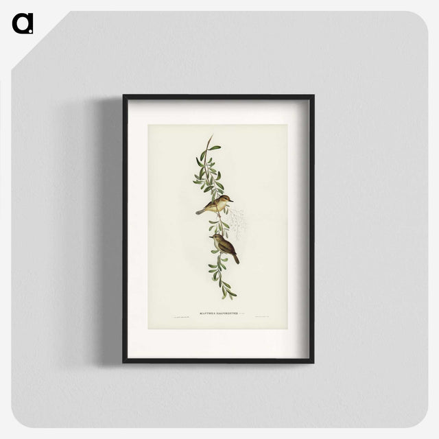 2-77_John-Gould_blk