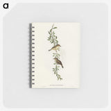 2-77_John-Gould_memo