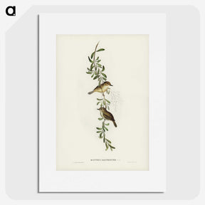 2-77_John-Gould_picture