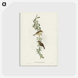 2-77_John-Gould_postcard
