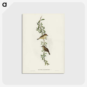 2-77_John-Gould_postcard