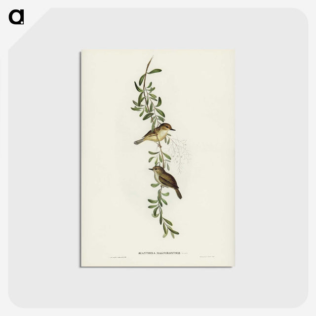 2-77_John-Gould_postcard