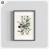 2-77_John-James-Audubon_blk