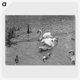 2-77_Leslie-Adkin_picture-crop