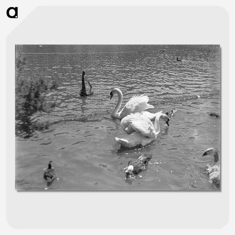 2-77_Leslie-Adkin_picture-crop