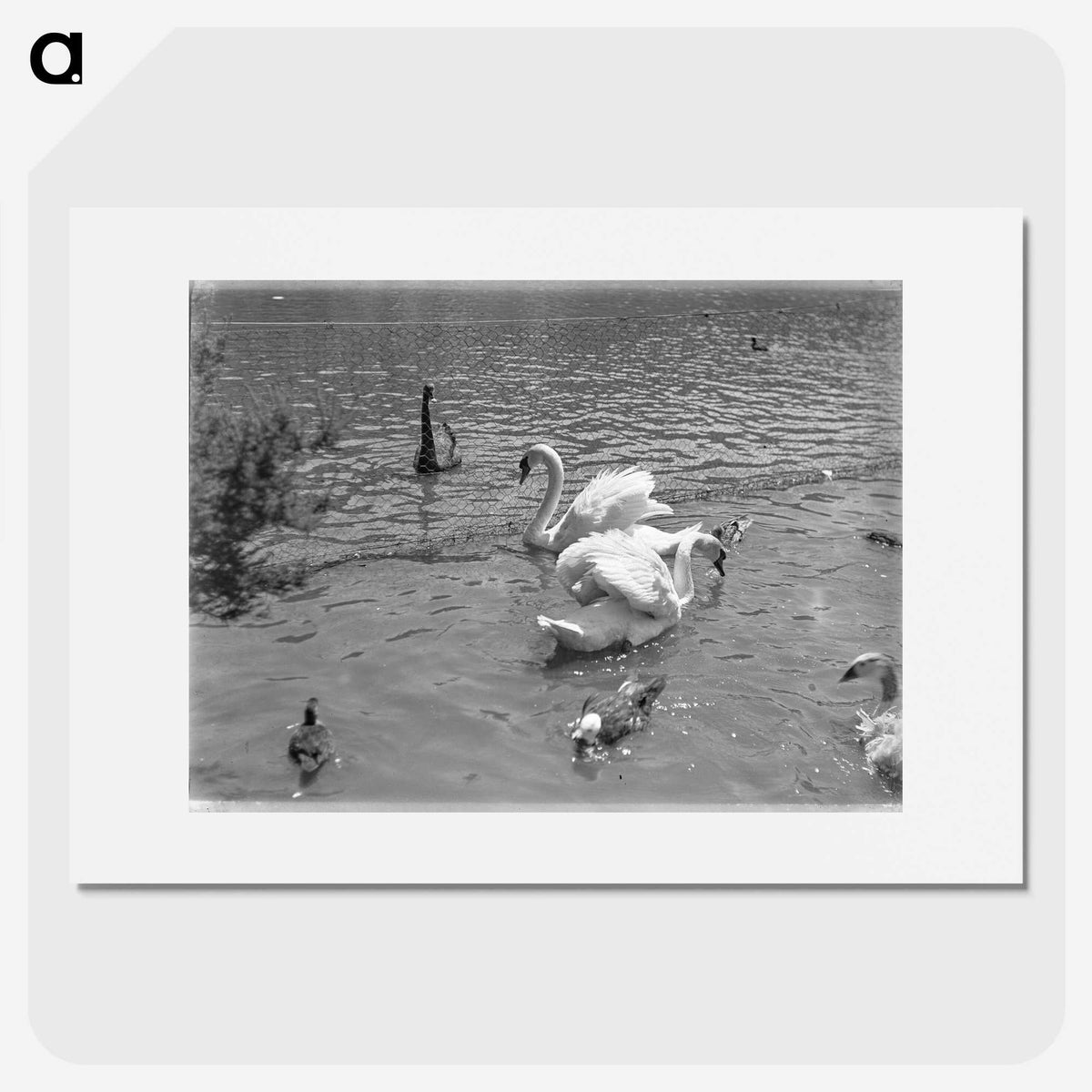 2-77_Leslie-Adkin_picture