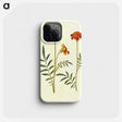 2-77_Maria-Sibylla-Merian_phone