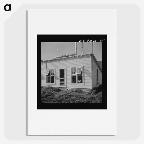 2-77_Marion-Post-Wolcott_picture