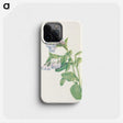2-77_Mary-Vaux-Walcott_phone
