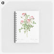2-77_Pierre-Joseph-Redoute_memo