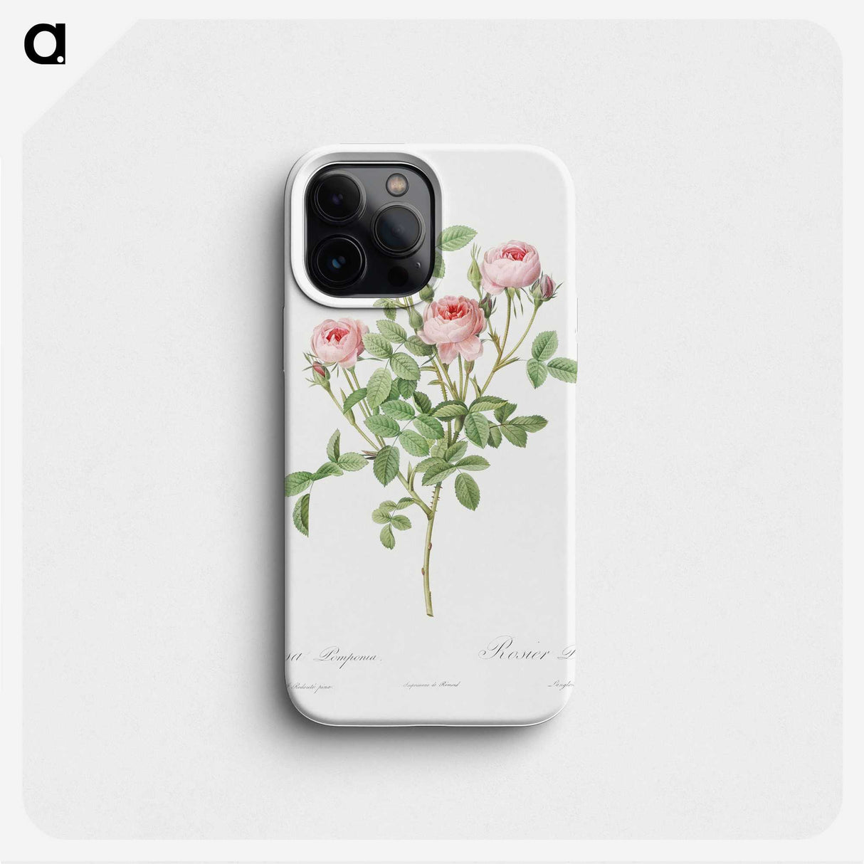 2-77_Pierre-Joseph-Redoute_phone