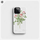 2-77_Pierre-Joseph-Redoute_phone