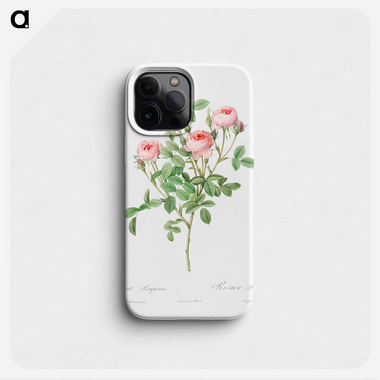 Burgundian Rose - ピエール ジョゼフ ルドゥーテ Phone Case.