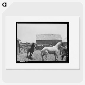 2-77_Russell-Lee_picture