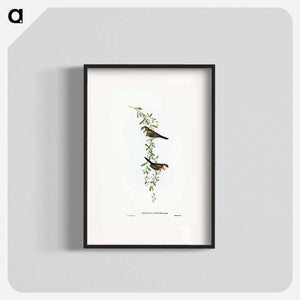 オーストラリア