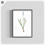 2-77_The-Lilies_blk-crop