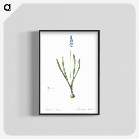2-77_The-Lilies_blk-crop