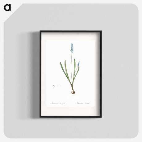 2-77_The-Lilies_blk
