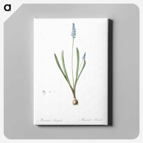2-77_The-Lilies_canvas