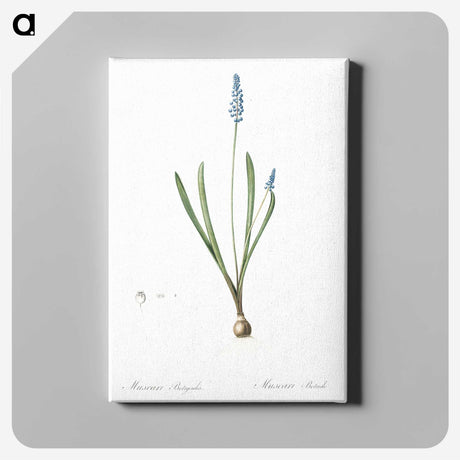 2-77_The-Lilies_canvas