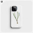 2-77_The-Lilies_phone