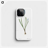 2-77_The-Lilies_phone