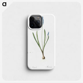 2-77_The-Lilies_phone