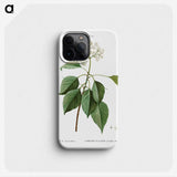 2-77_Treatise-on-Trees-and-Shrubs_phone
