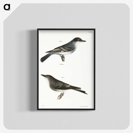 2-77_Zoology-of-New-York_blk-crop