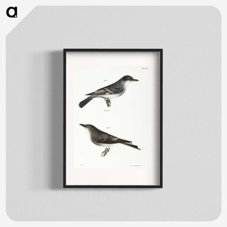 2-77_Zoology-of-New-York_blk
